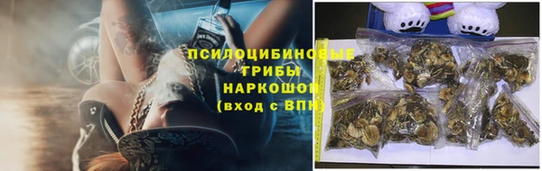 spice Елизово