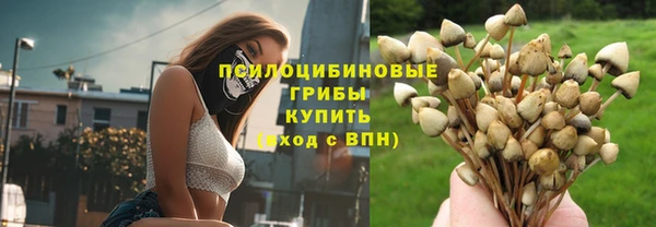меф Дмитриев