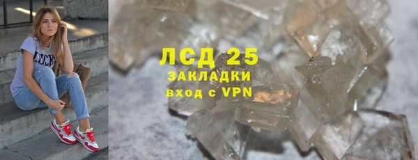 ПСИЛОЦИБИНОВЫЕ ГРИБЫ Дмитров