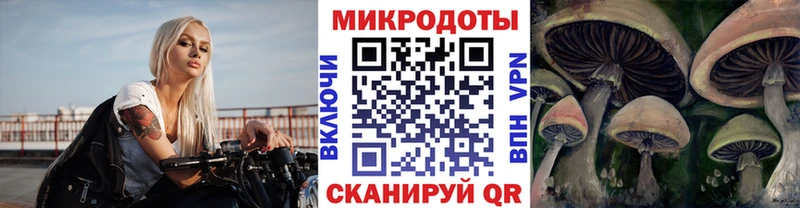 Купить закладки  Чкаловск  Галлюциногенные грибы Cubensis 