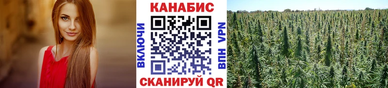 Купить  Чкаловск  Бошки Шишки VHQ 